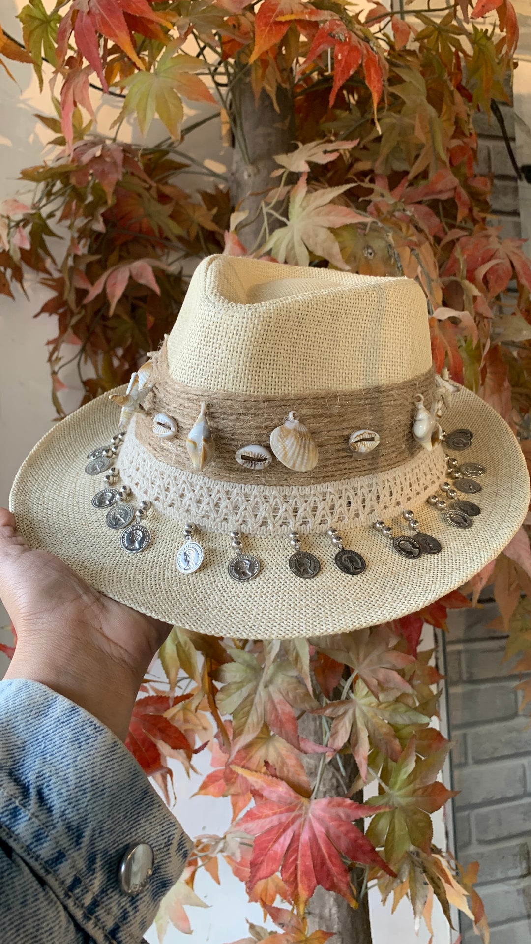 Shell coins sea Chapeau